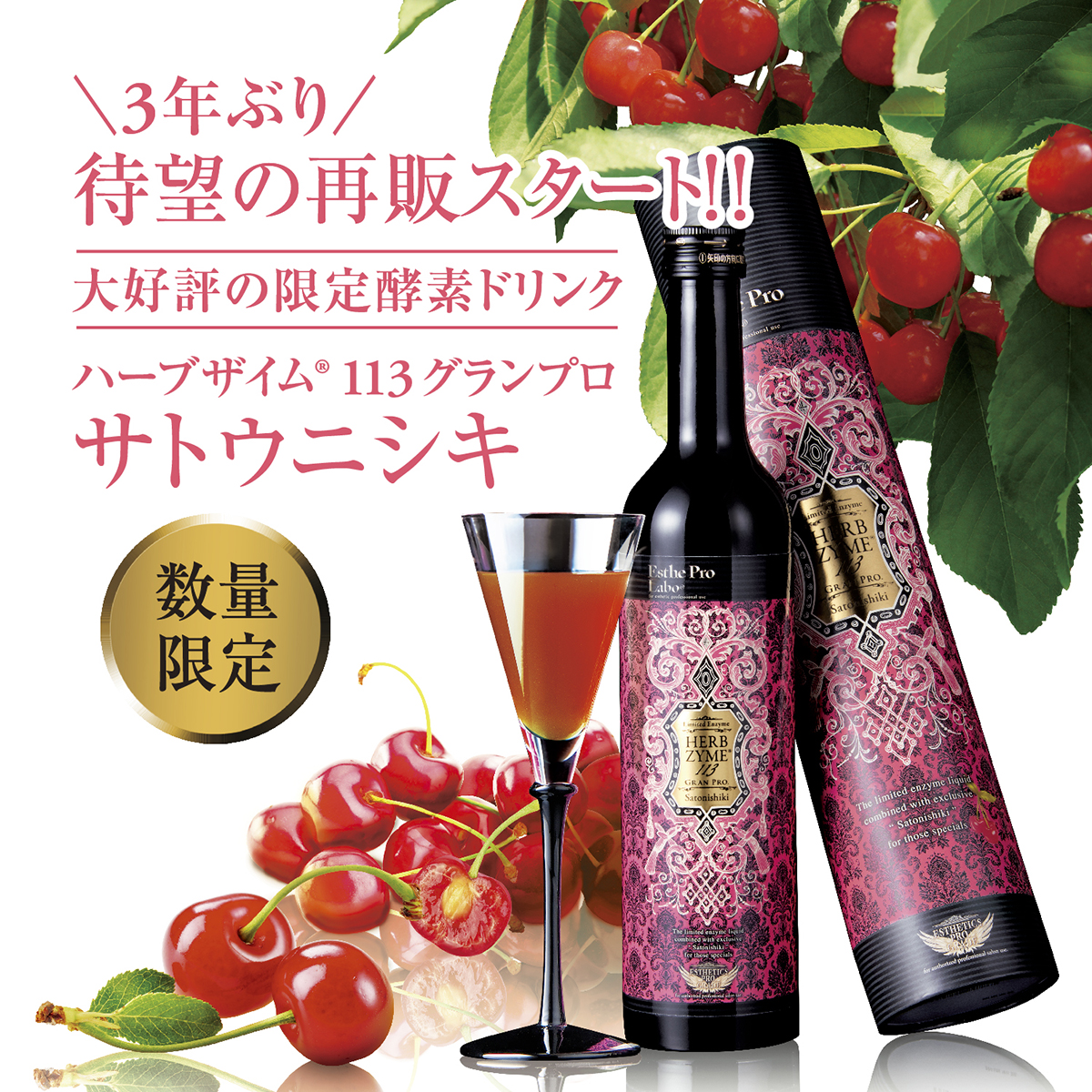 2021秋冬新作】 ハーブザイム 113 グランプロ ジンジャー 500ml エステプロラボ酵素飲料 健康食品 Esthe Pro Labo  エステプロラボ