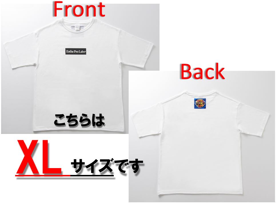 プロラボTシャツ (白地・黒ロゴ・XLサイズ)