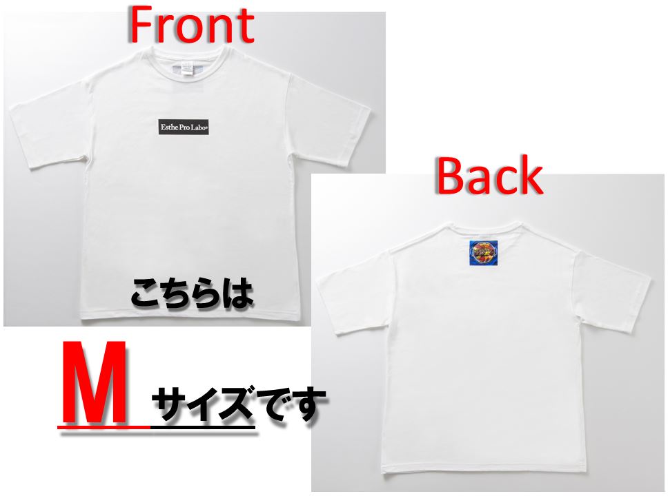 プロラボTシャツ (白地・黒ロゴ・Mサイズ)