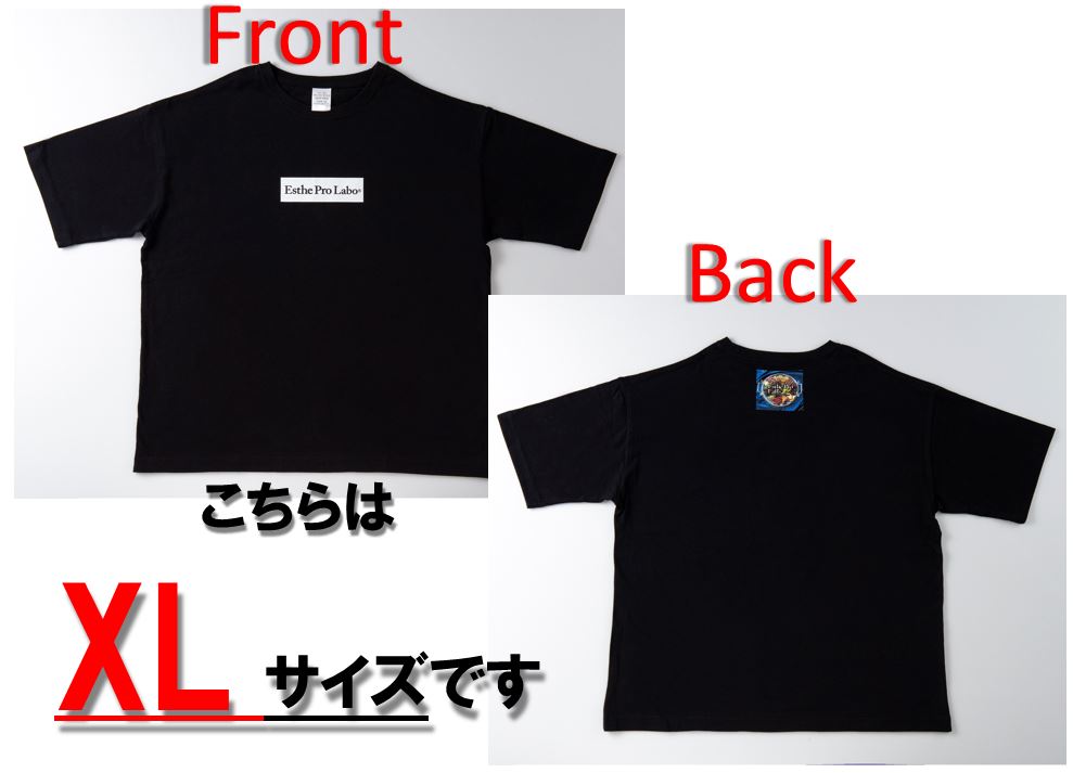 プロラボTシャツ (黒地・白ロゴ・XLサイズ)