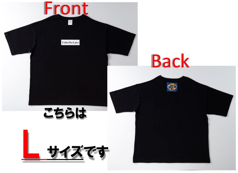 プロラボTシャツ (黒地・白ロゴ・Lサイズ)