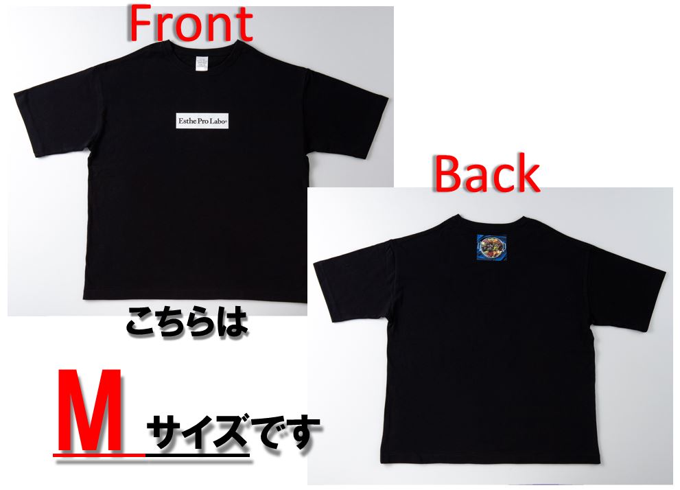 プロラボTシャツ (黒地・白ロゴ・Mサイズ)